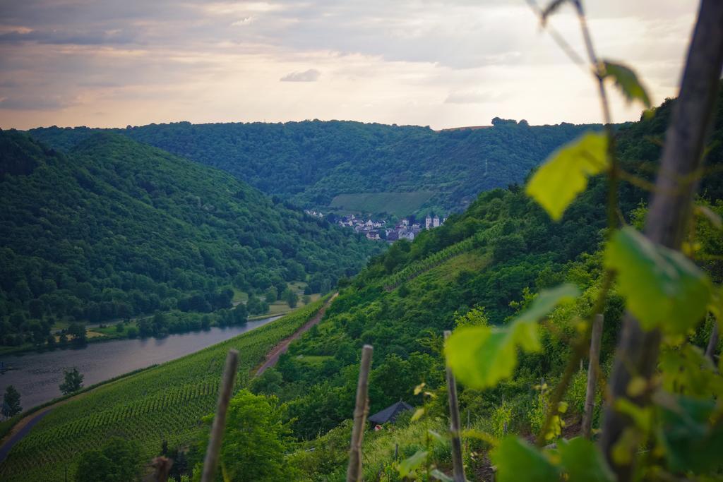 Hotel Sewenig Мюден Экстерьер фото